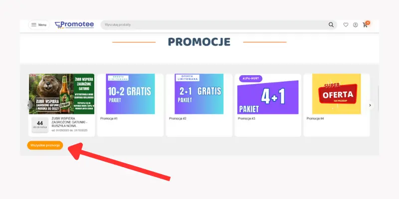 Blok promocji na stronie głównej